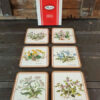 Onderzetters Pimpernel "Botanica"