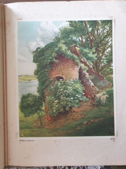 Boek "onze groote rivieren" - Afbeelding 7