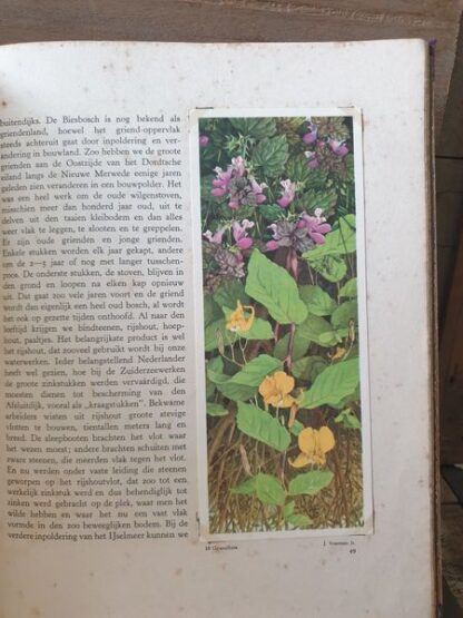 Boek "onze groote rivieren" - Afbeelding 10