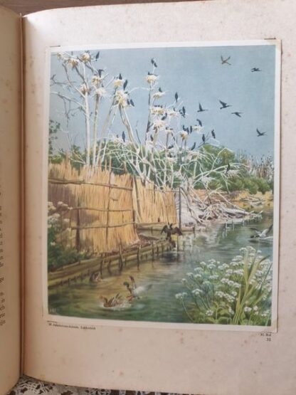 Boek "onze groote rivieren" - Afbeelding 11