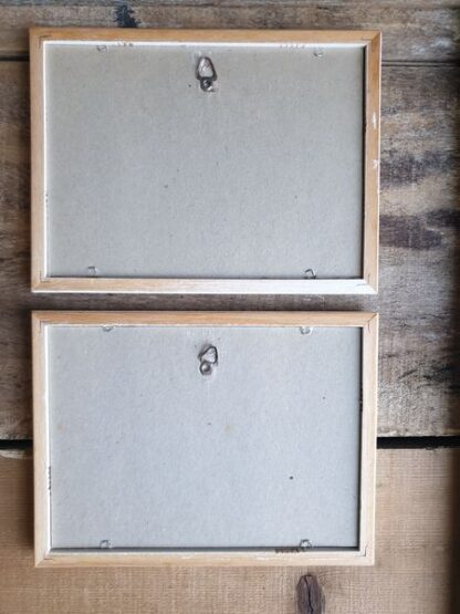Vintage afbeeldingen poezen witte lijst - Afbeelding 2