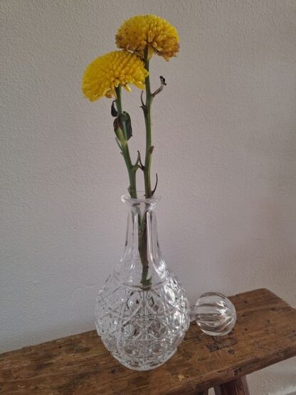 Vintage glazen karaf met stolp