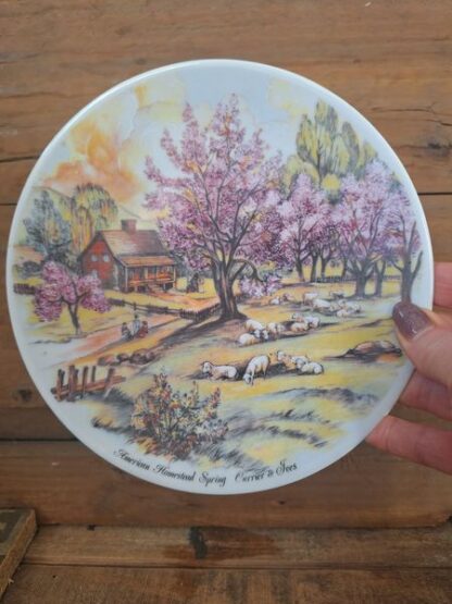 Vintage wandbord Bareuther Waldsassen Bavaria