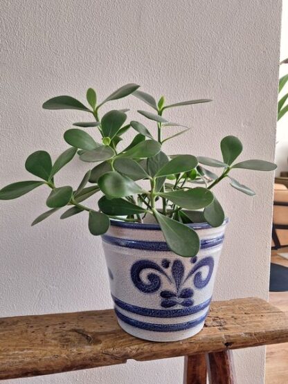 Grote vintage Keulse bloempot