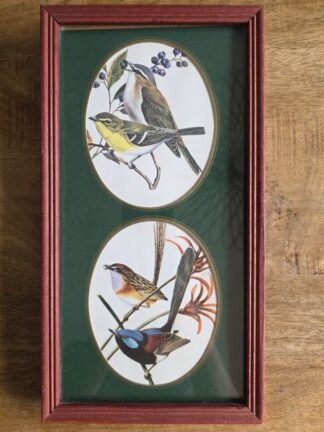 vintage afbeelding vogels