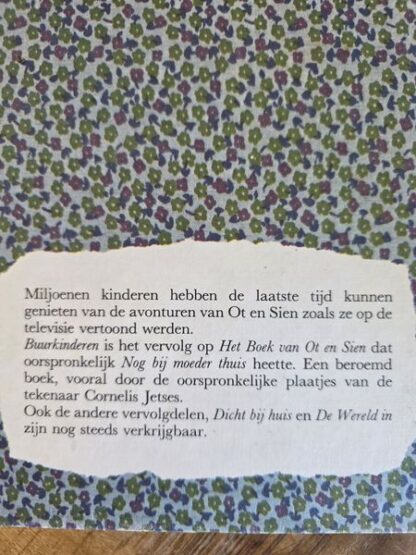 Vintage boek Buurkinderen - Afbeelding 2