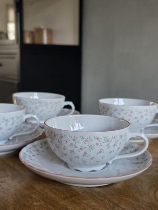 Vintage kop en schotels Regina